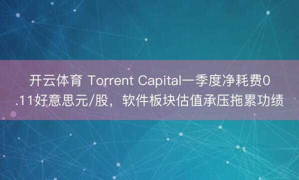 开云体育 Torrent Capital一季度净耗费0.11好意思元/股，软件板块估值承压拖累功绩
