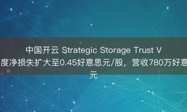 中国开云 Strategic Storage Trust VI一季度净损失扩大至0.45好意思元/股，营收780万好意思元