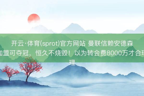 开云·体育(sprot)官方网站 曼联信赖安德森加盟可夺冠，恒久不烧毁！以为转会费8000万才合理