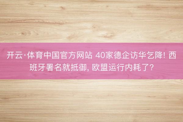 开云·体育中国官方网站 40家德企访华乞降! 西班牙署名就抵御， 欧盟运行内耗了?