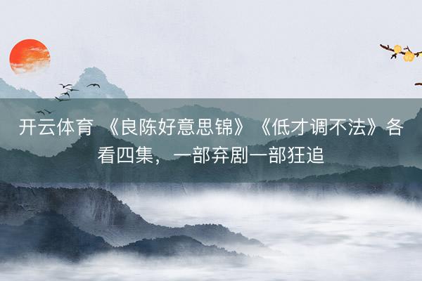 开云体育 《良陈好意思锦》《低才调不法》各看四集，一部弃剧一部狂